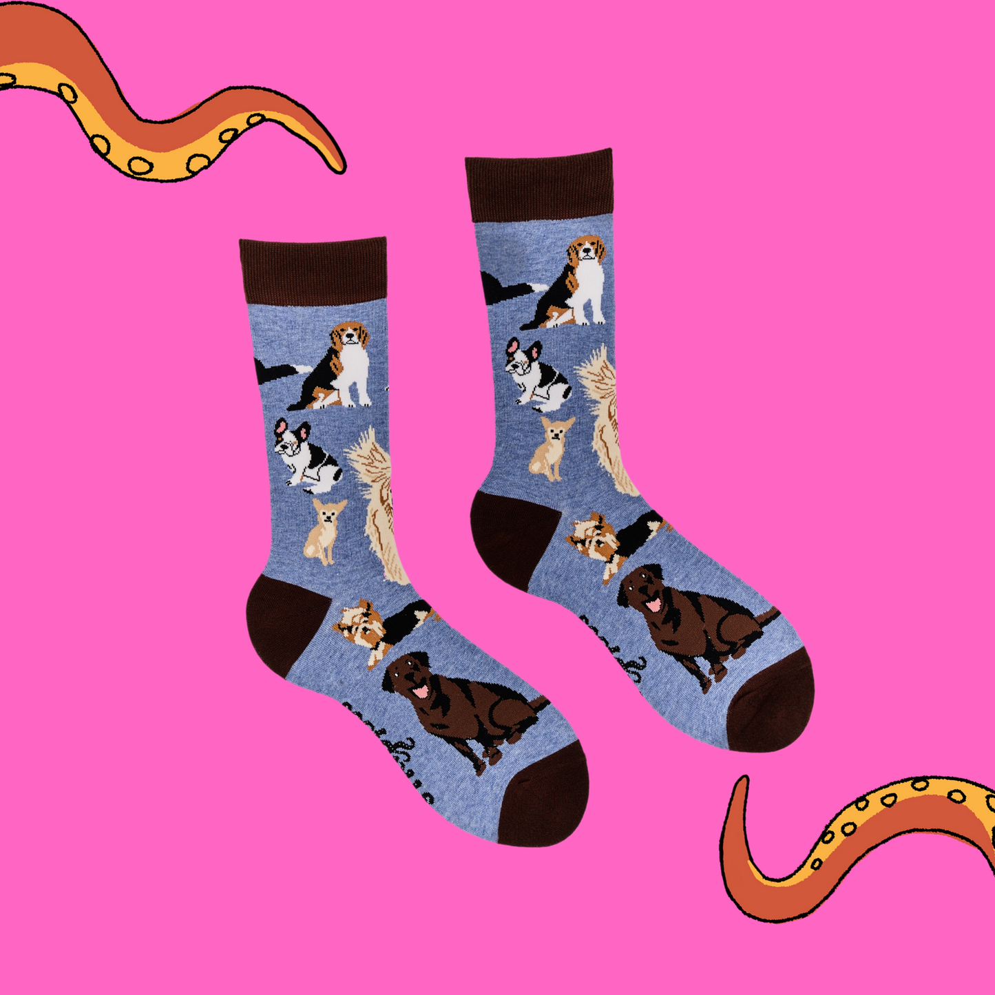 A pair of socks depicting different breeds of dog. Blue legs, brown cuff, heel and toe.