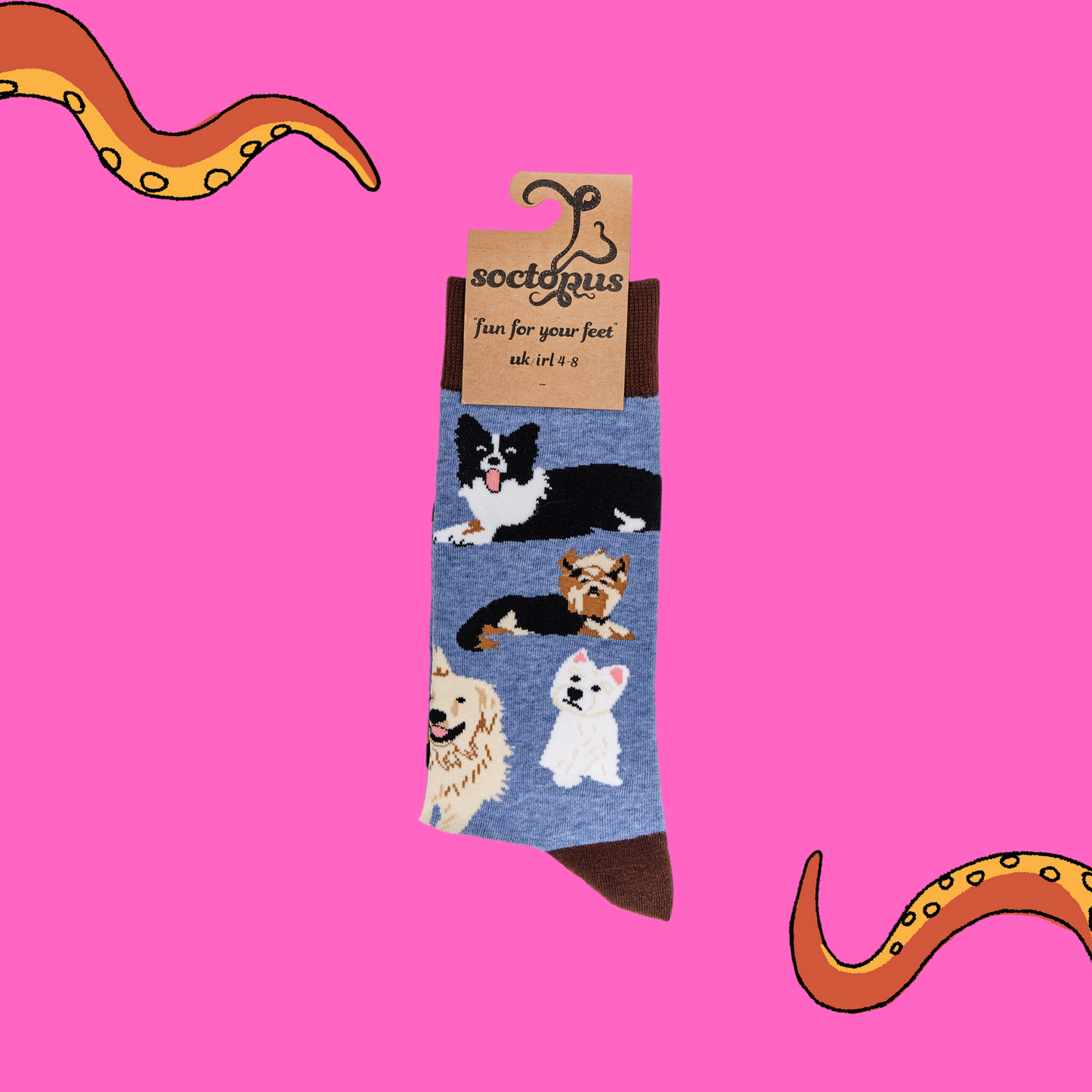A pair of socks depicting different breeds of dog. Blue legs, brown cuff, heel and toe. In Soctopus Packaging.
