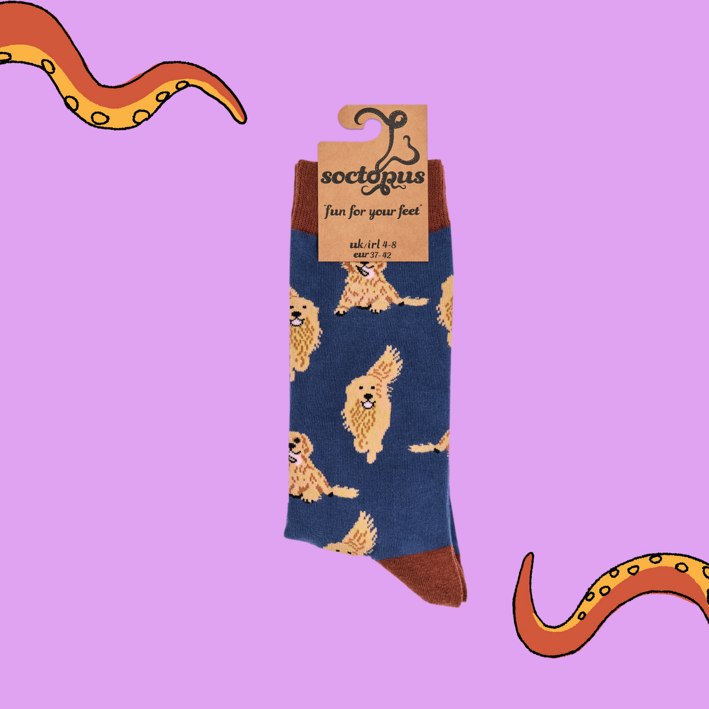 A pair of socks depicting golden retrievers. Blue legs, brown cuff, heel and toe. In Socktopus Packaging.