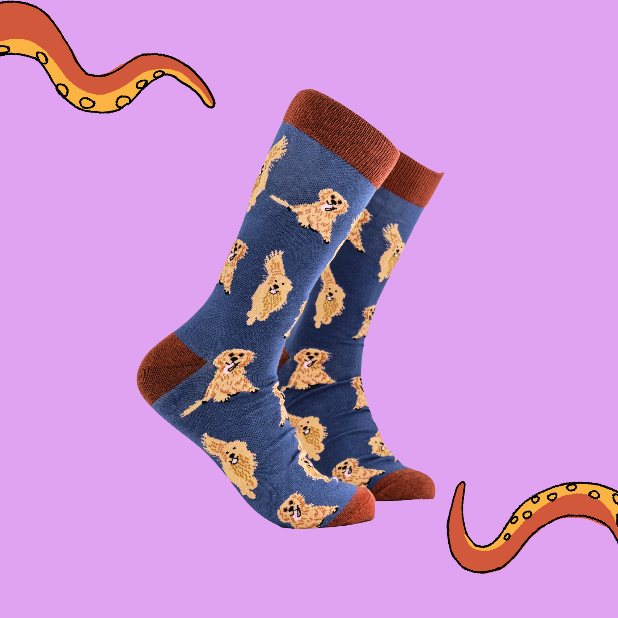 Golden Retriever Socks - I'm A Retriever - Socktopus Golden Retriever Socks - I'm A Retriever - Socktopus