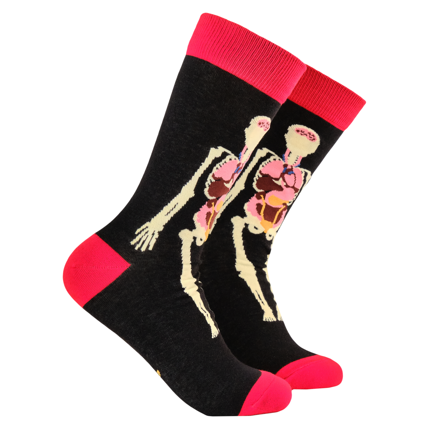 Anatomy Bamboo Socks. A pair of socks featuring an anatomy model. Black legs, red heel, toe and cuff.