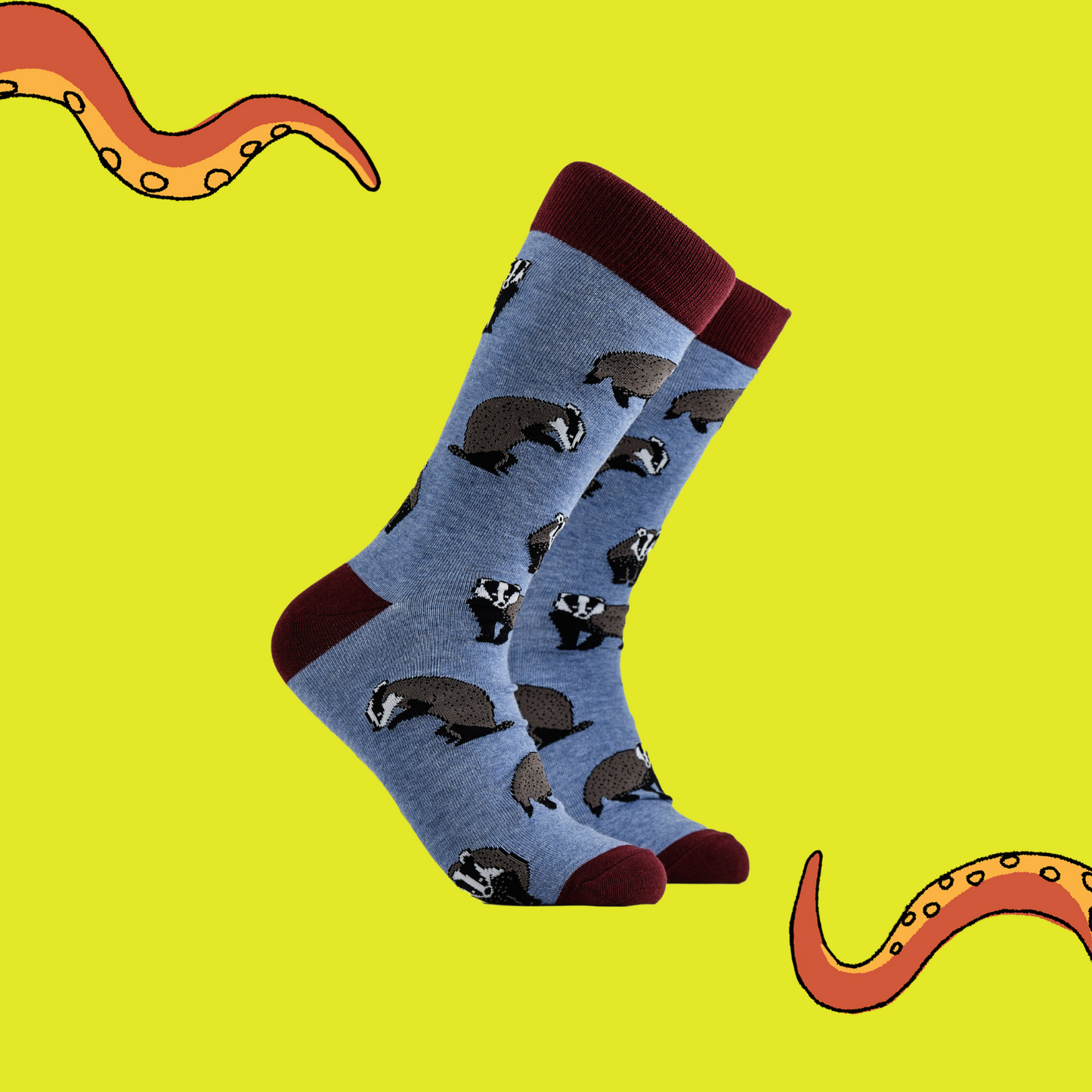 Badger Socks - Too Badger Getting Socks. A pair of socks depicting Badgers. Blue legs, wine red cuff, heel and toe.