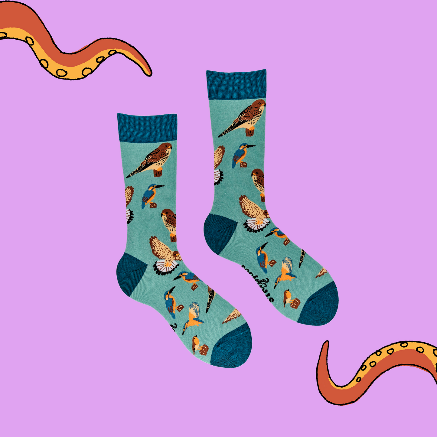A pair of socks depicting British native birds. Teal legs, turquoise cuff, heel and toe.