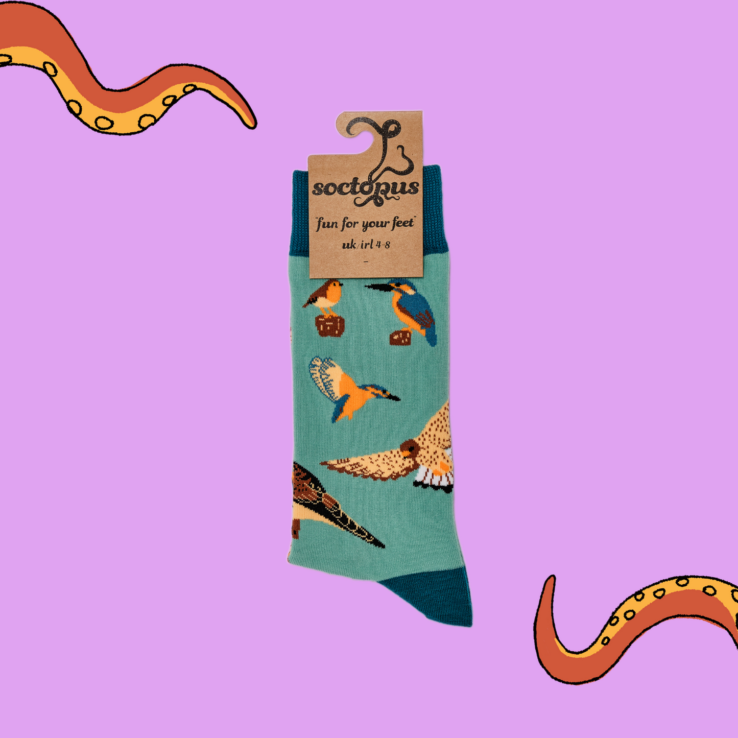A pair of socks depicting British native birds. Teal legs, turquoise cuff, heel and toe. In Soctopus Packaging.