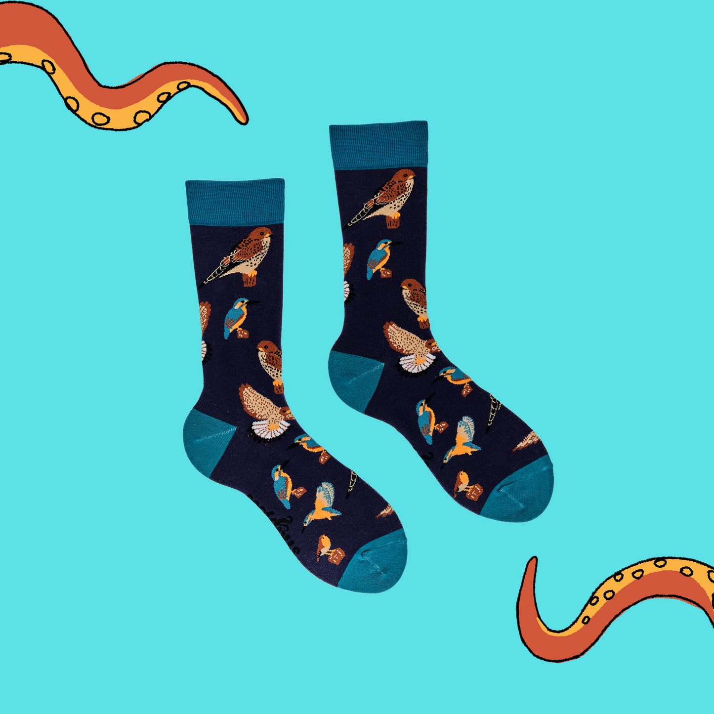 A pair of socks depicting British native birds. Purple legs, turquoise cuff, heel and toe.