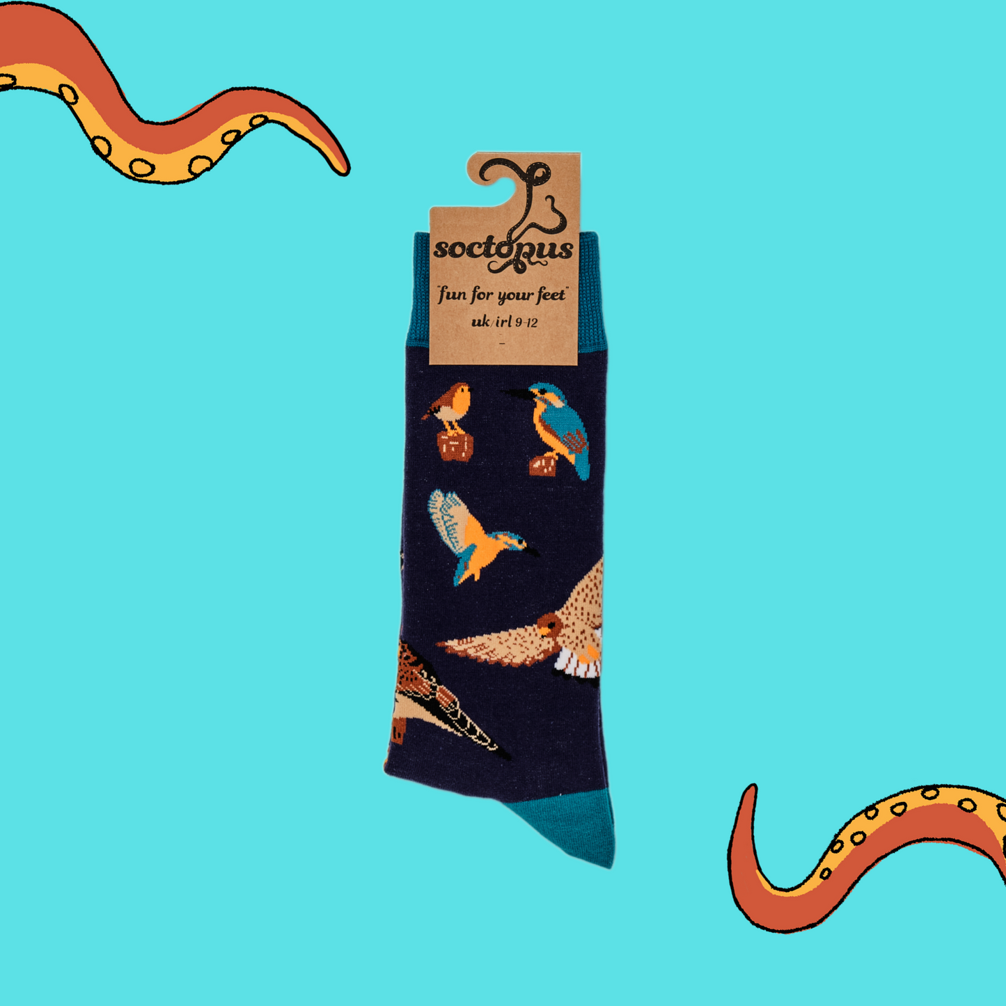 A pair of socks depicting British native birds. Purple legs, turquoise cuff, heel and toe. In Soctopus Packaging.