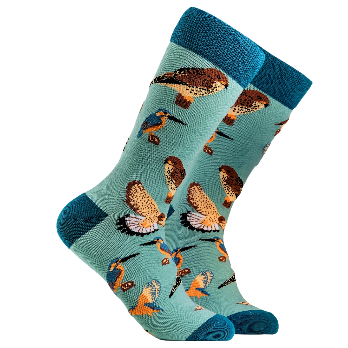 Bird Lover Socks. A pair of socks depicting British native birds. Teal legs, turquoise cuff, heel and toe.