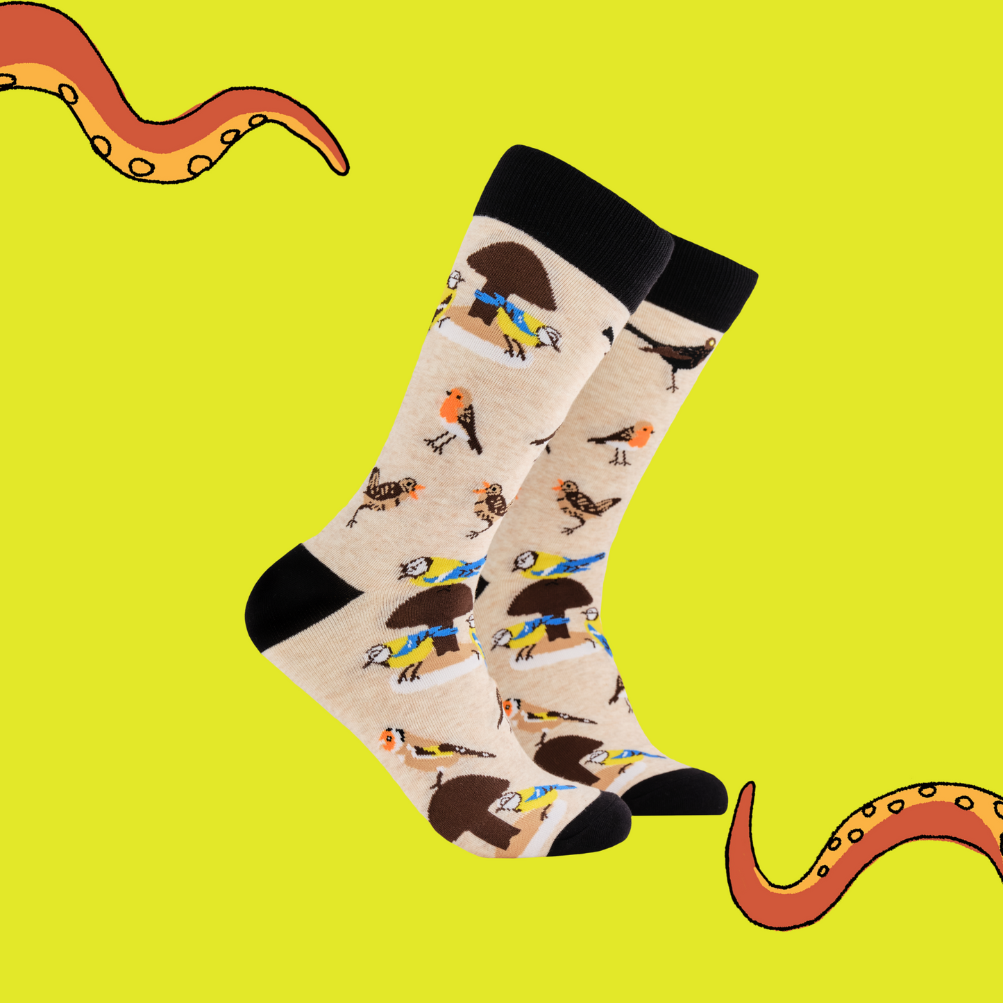 A pair of socks depicting british birds. Oatmeal legs, black cuff, heel and toe.