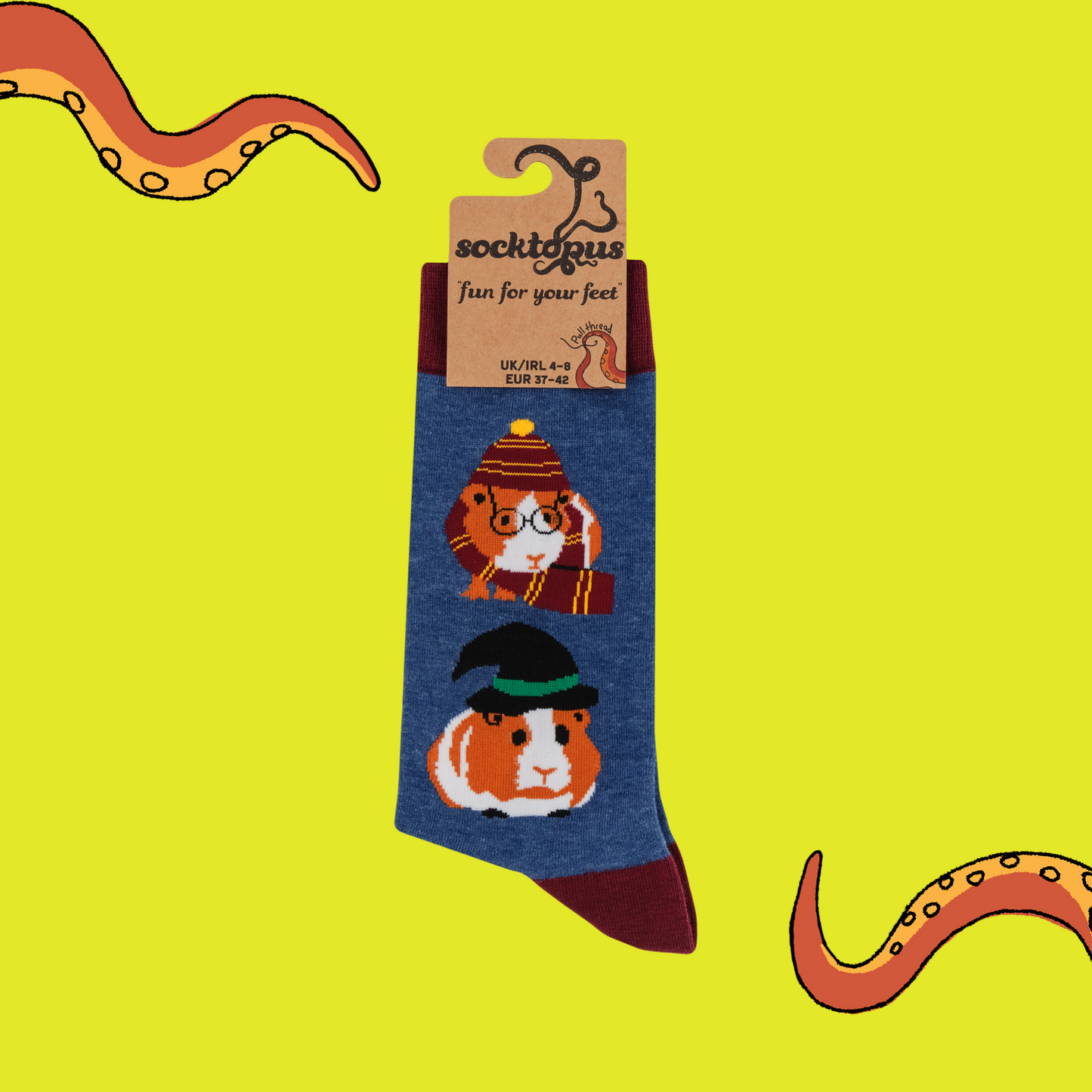 A pair of socks featuring magical piggies. Blue legs, brown heel, toe and cuff.