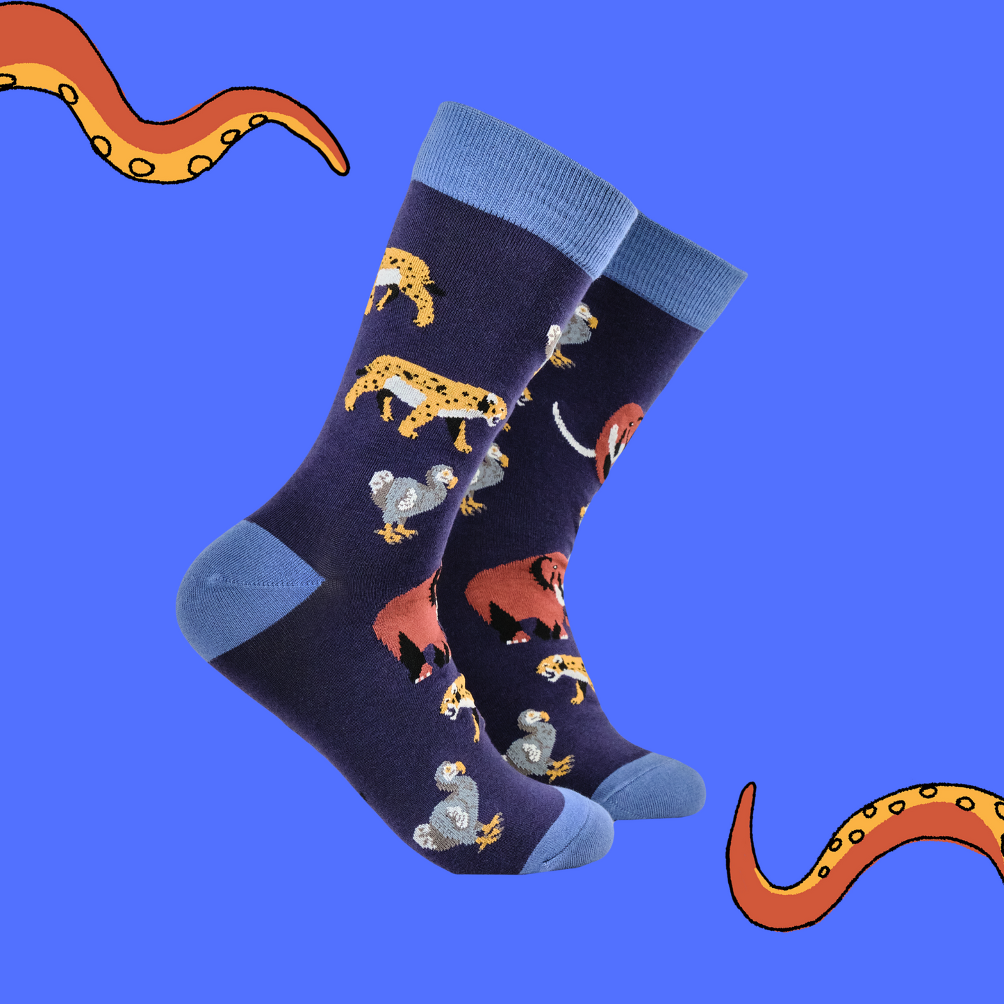 A pair of socks featuring extinct animals. Dark blue legs, light blue heel, toe and cuff.