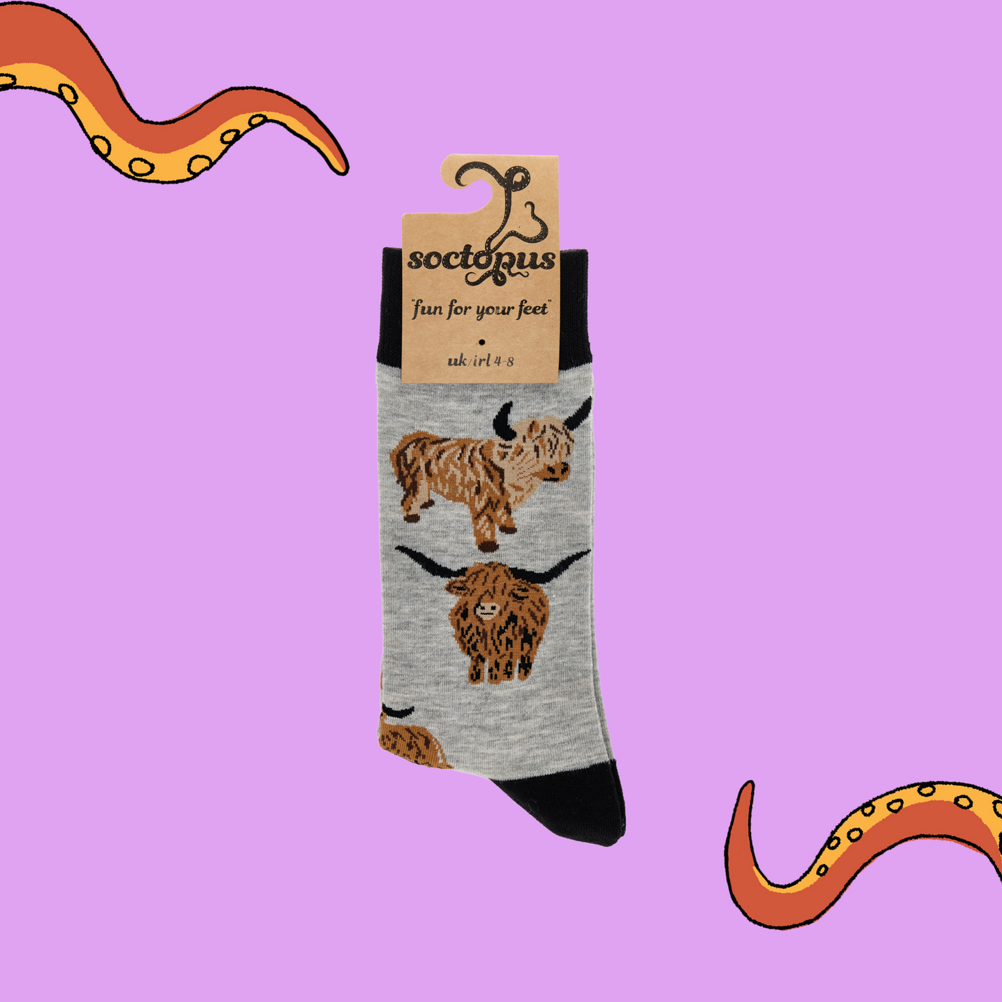 A pair of socks depicting highland cows. Grey legs, black cuff, heel and toe. In Soctopus Packaging.