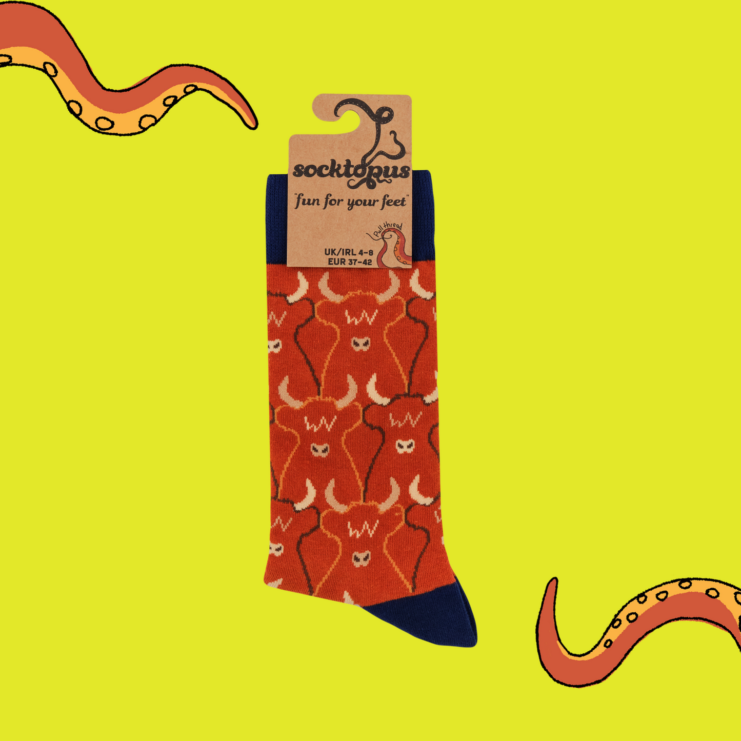 A pair of socks featuring a highland cow pattern. Ref legs, dark blue heel, toe and cuff.