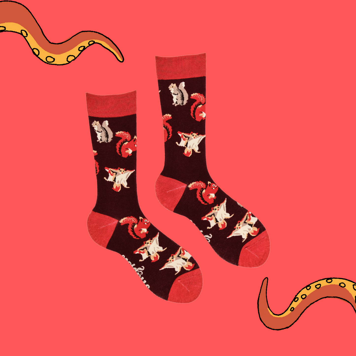 A pair of socks depicting different kinds of squirrel. Dark red legs, red cuff, heel and toe.