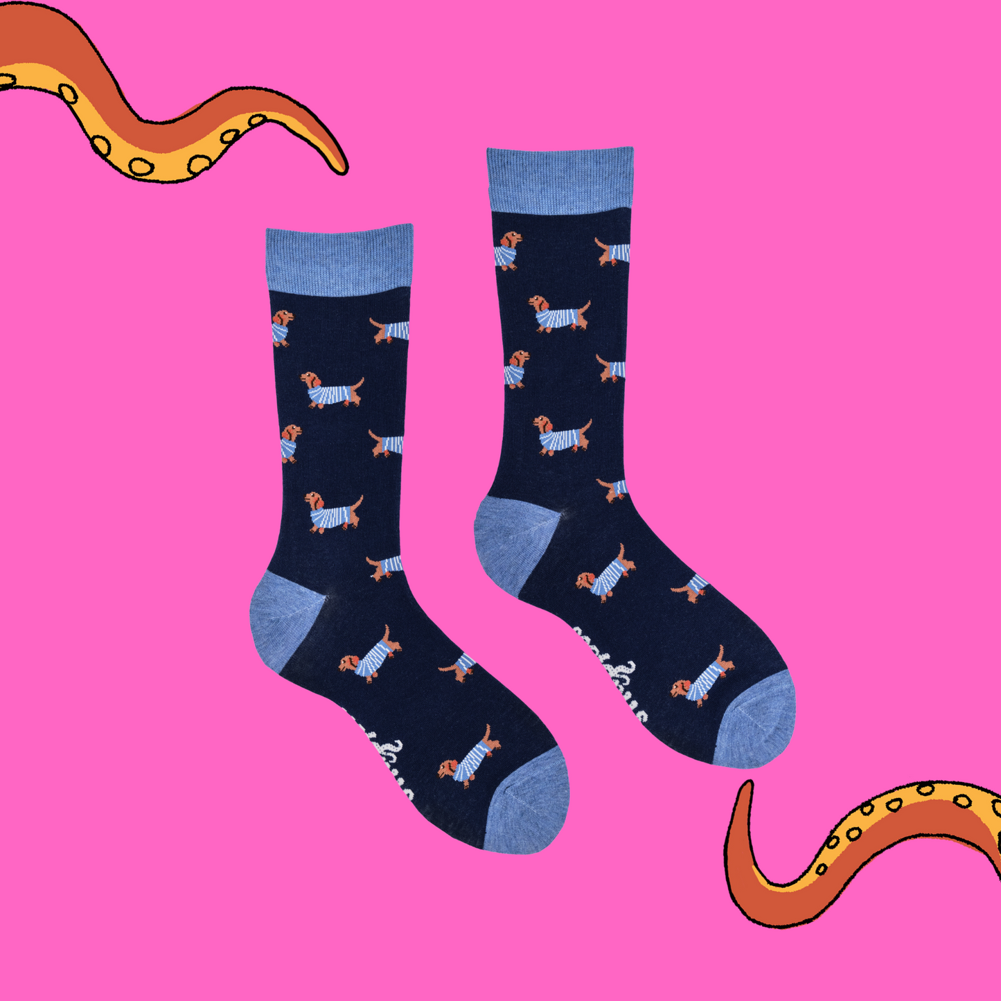 A pair of socks depicting sausage dogs wearing jumpers. Dark legs, light blue cuff, heel and toe
