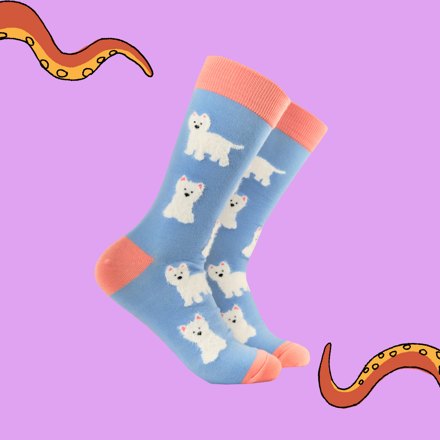 A pair of socks featuring fluffy westie dogs. Light blue legs, peach heel toe and cuff.