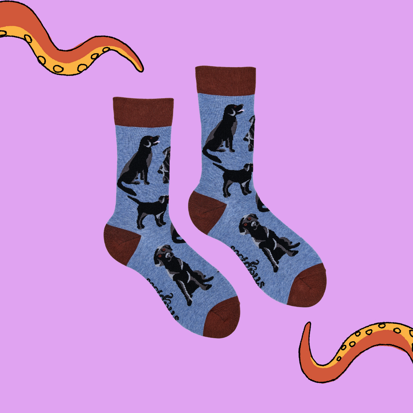 A pair of socks depicting black labradors. Blue legs, brown cuff, heel and toe.