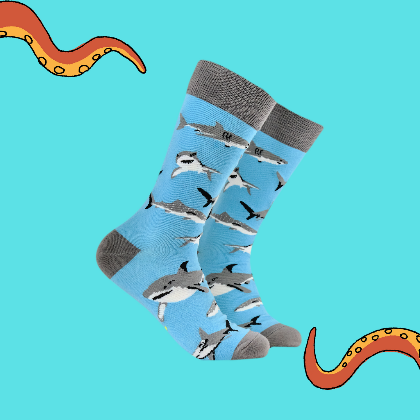 A pair of socks featuring great white sharks. Light blue legs, grey heel, toe and cuff.