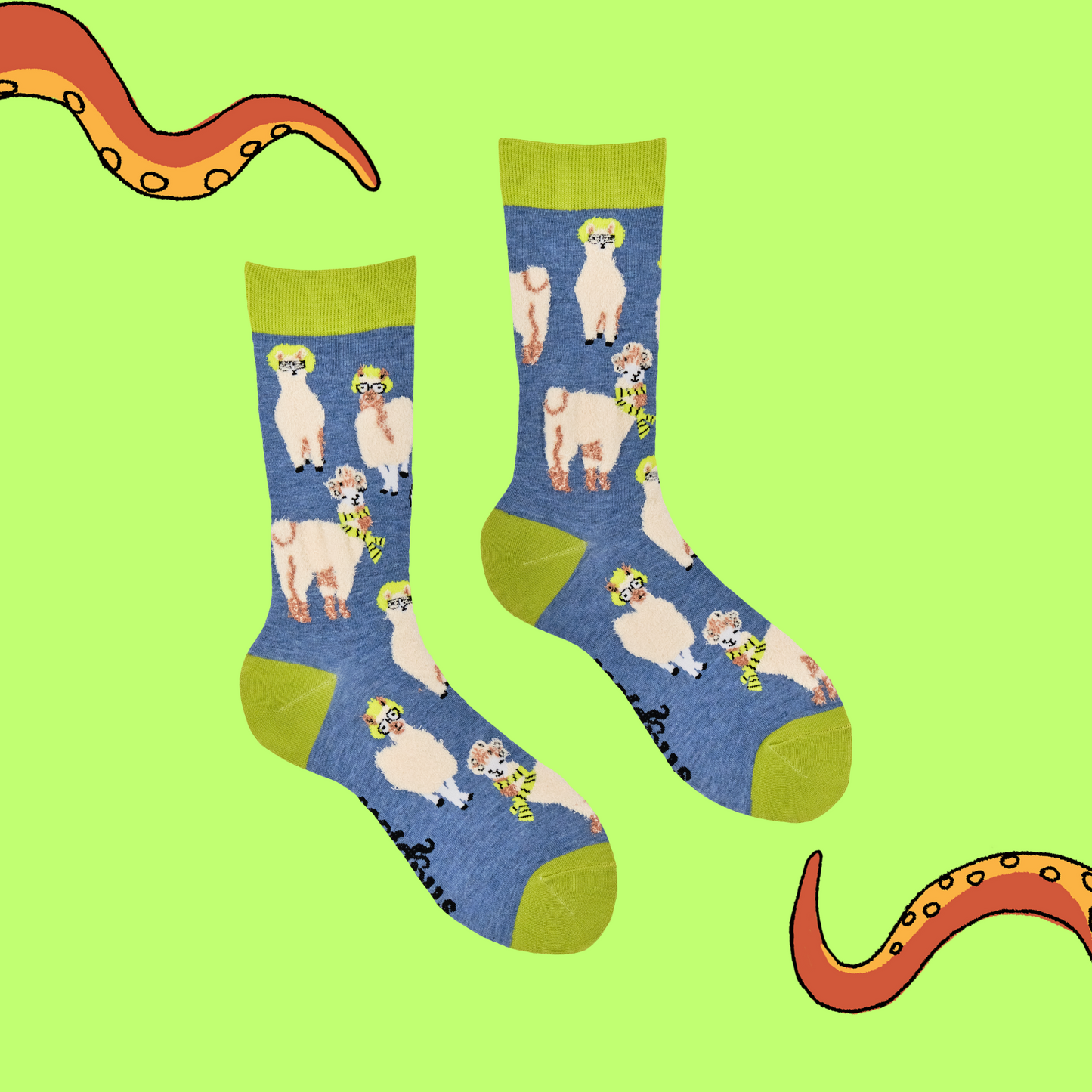 A pair of socks depicting Llamas causing drama. Blue legs, yellow heel, cuff and toe.