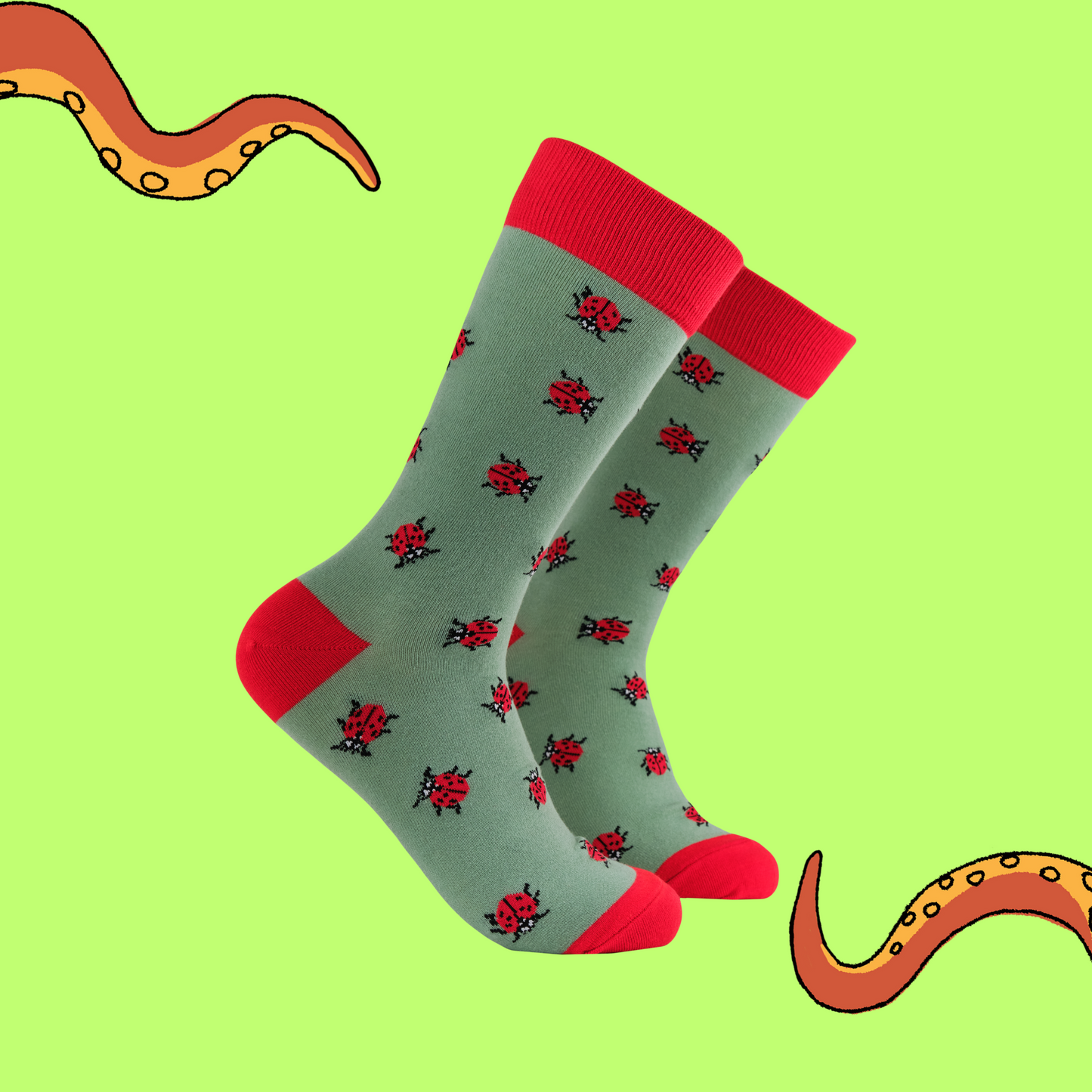 A pair of socks with a ladybird motif. Green legs, red heel, toe and cuff.