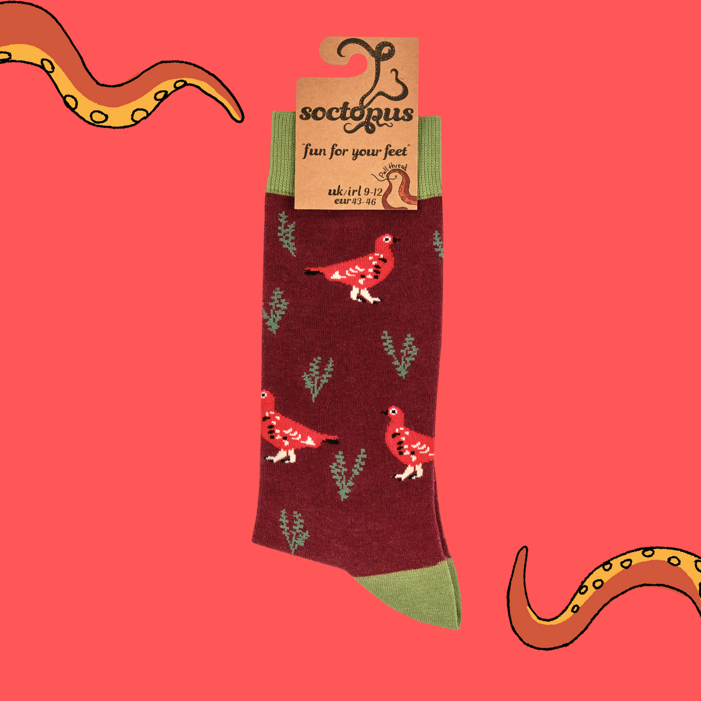 A pair of socks featuring a grouse motif. Red legs, green heel, toe and cuff.