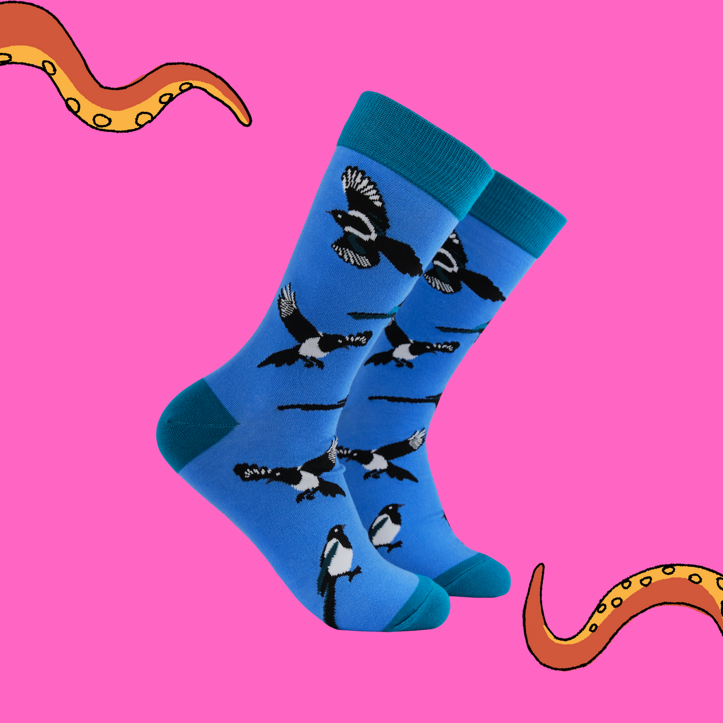 A pair of socks with a magpie motif. Blue legs, green heel, toe and cuff.