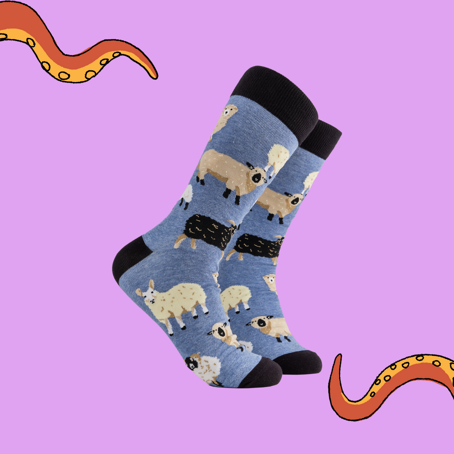 pair of socks depicting different breeds of British sheep. Blue legs, black cuff, heel and toe.