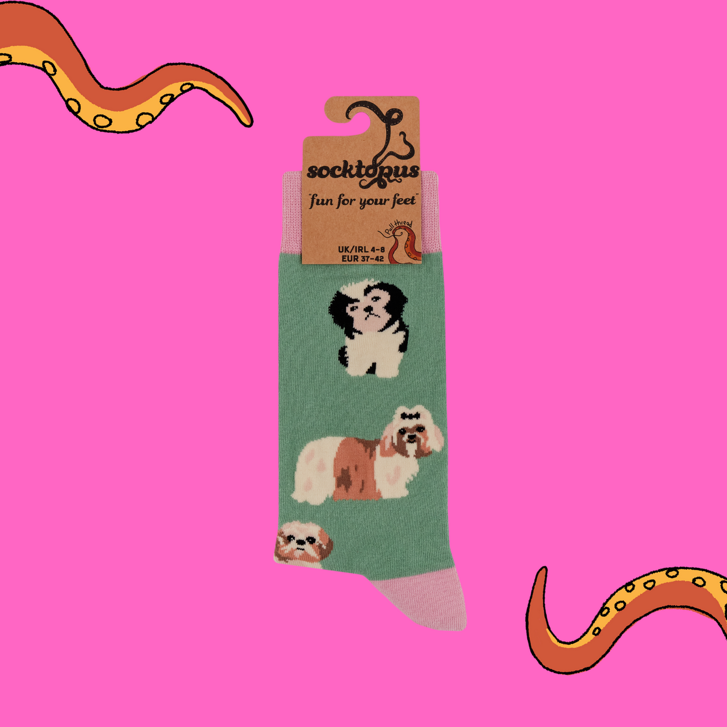 A pair of socks featuring a Shih Tzu  motif. Green legs, pink heel, toe and cuff.