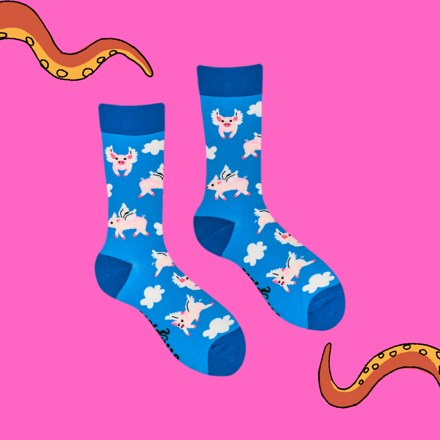 A pair of socks with a flying pig motif. Light blue legs, dark blue heel, toe and cuff.