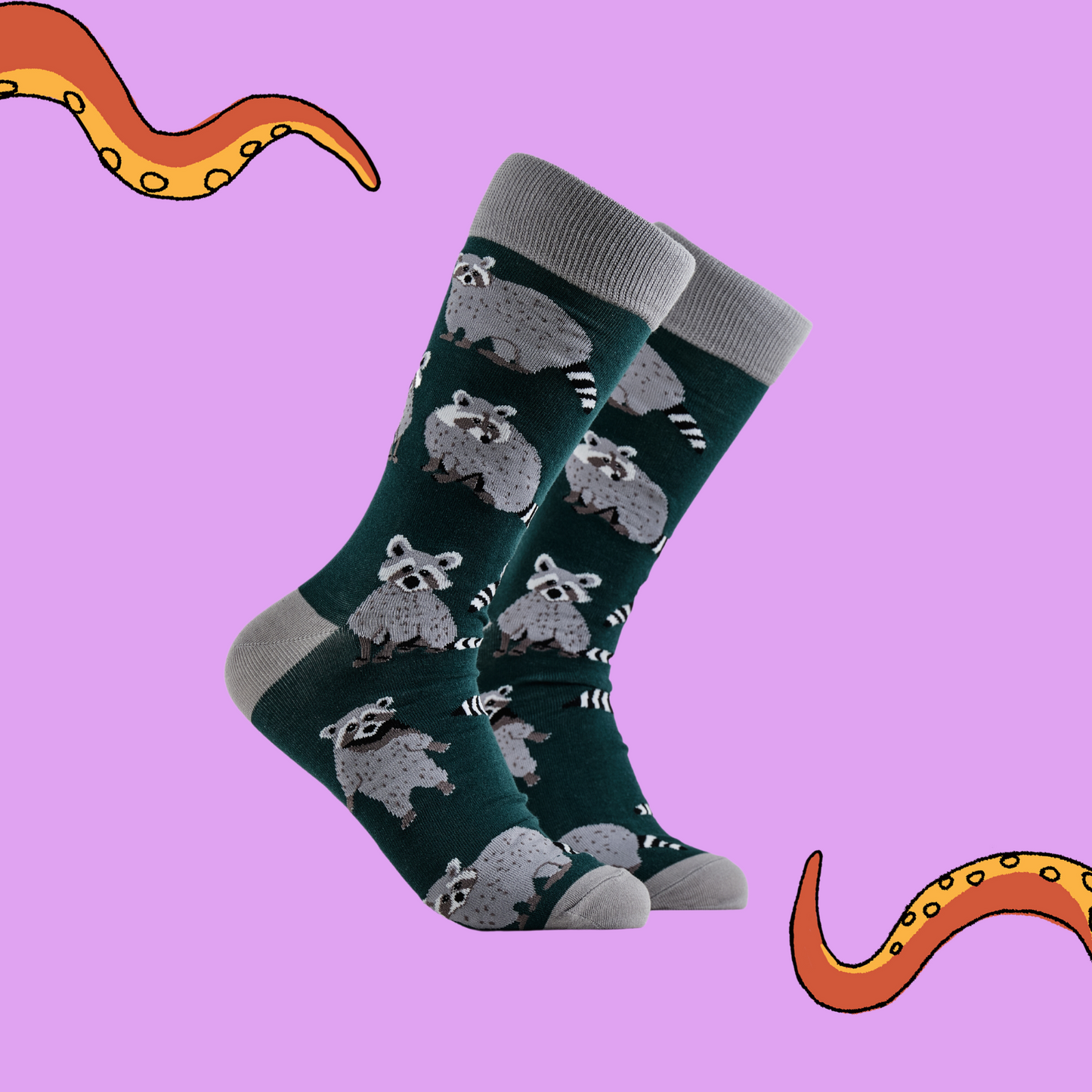 A pair of socks depicting raccoons. Green legs, grey cuff, heel and toe.