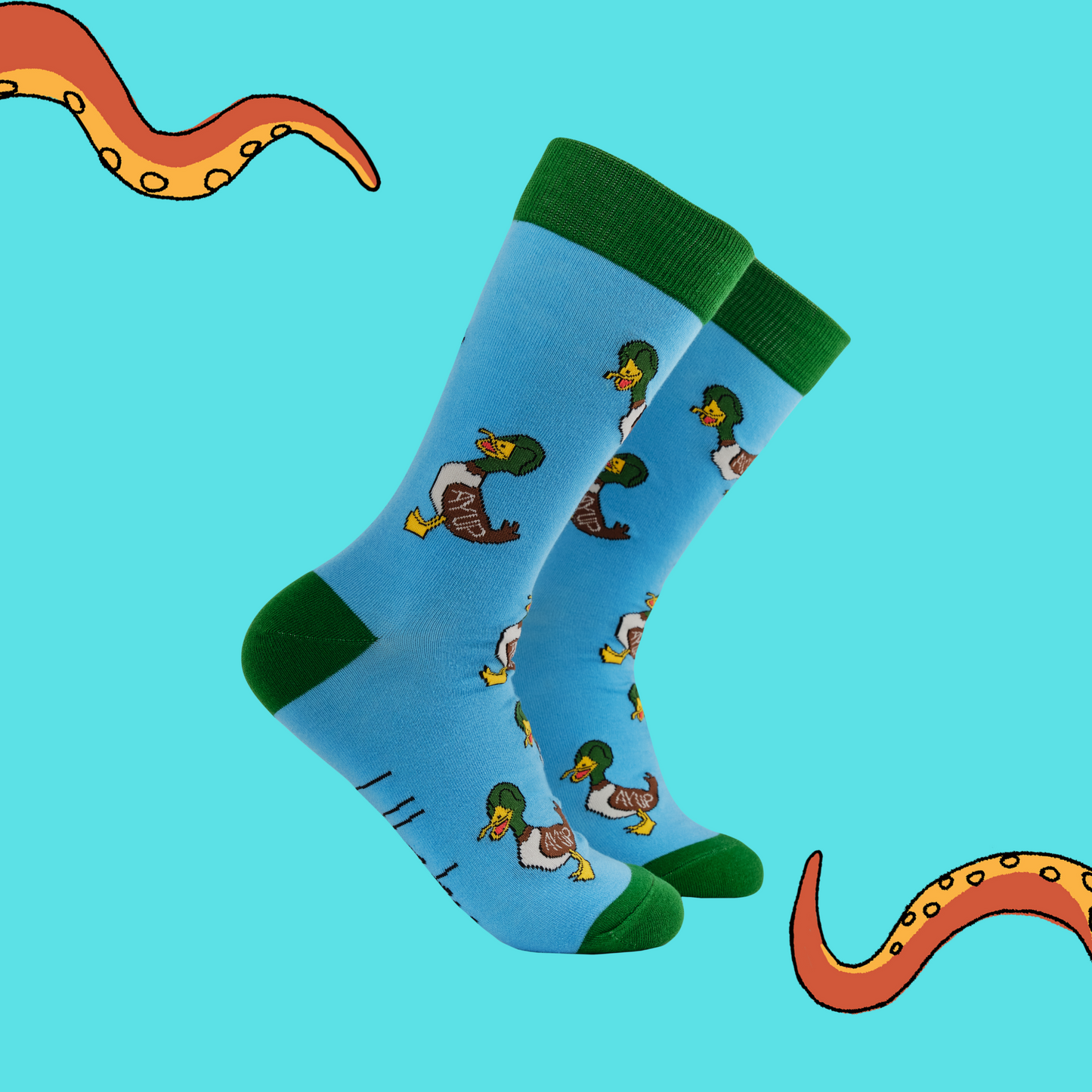 A pair of socks with a yorkshire motif. Blue legs, green heel, toe and cuff.