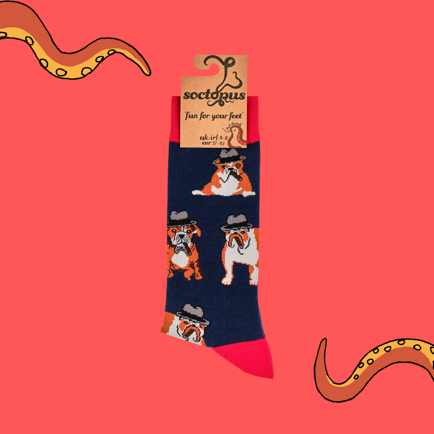 A pair of socks with a bulldog and winston churchill motif. Dark blue legs, red heel, toe and cuff.