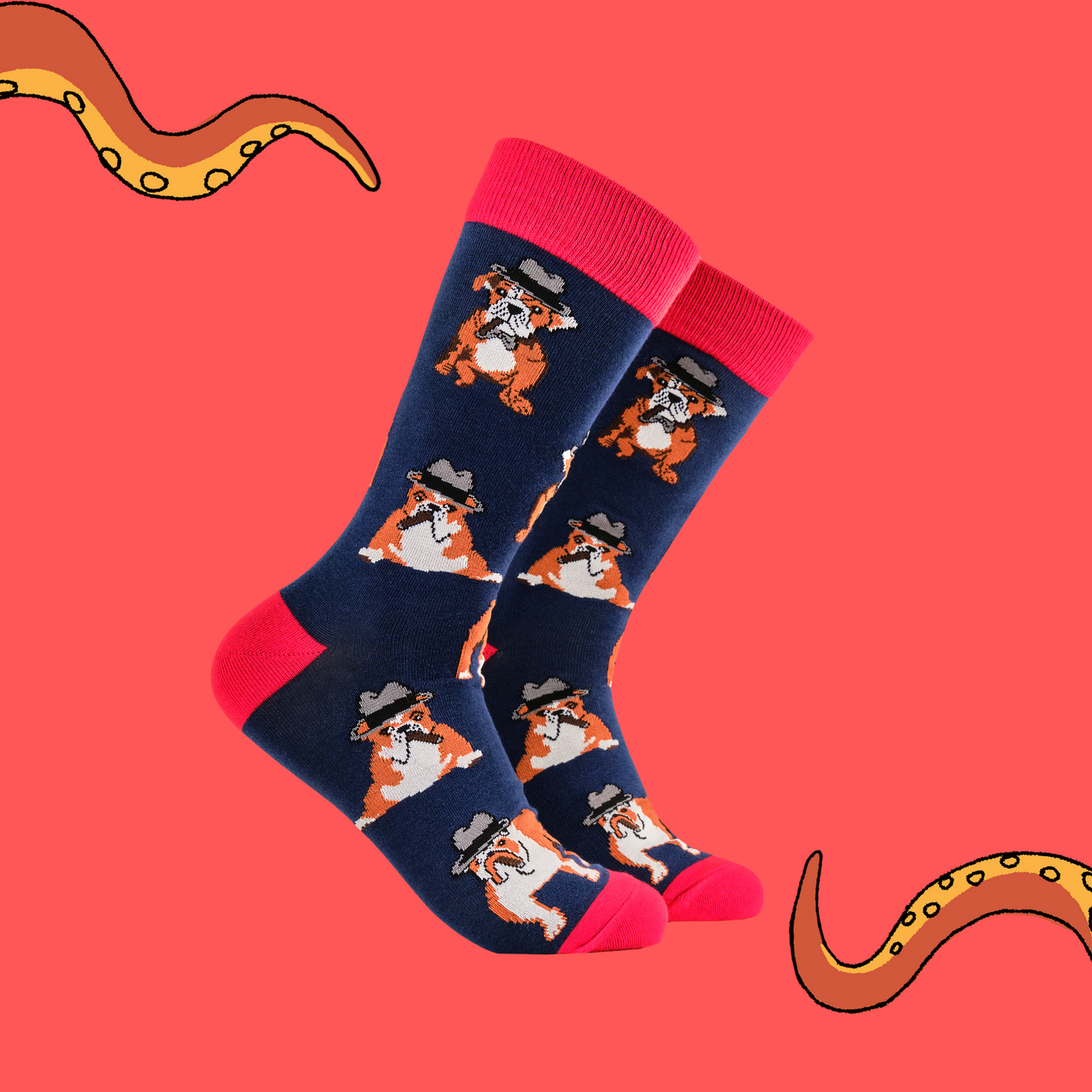 A pair of socks with a bulldog and winston churchill motif. Dark blue legs, red heel, toe and cuff.