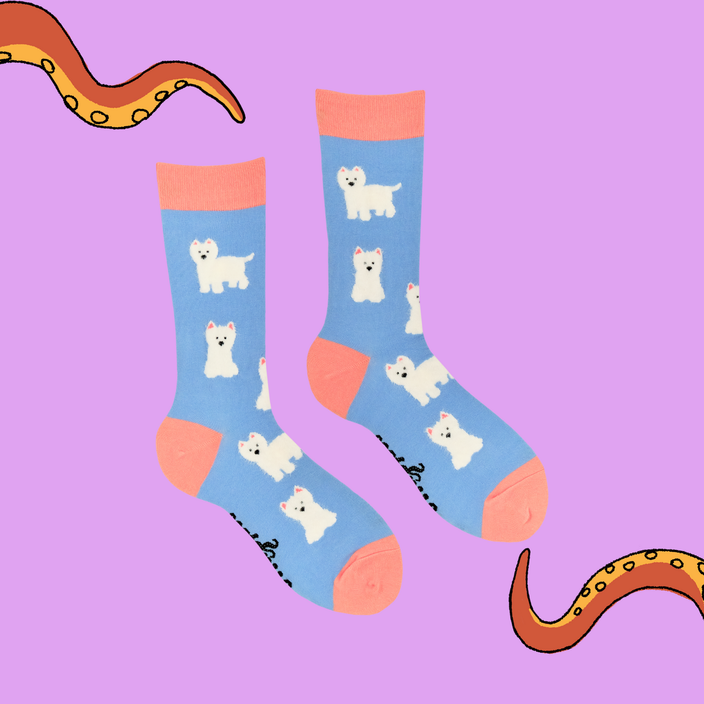 A pair of socks featuring fluffy westie dogs. Light blue legs, peach heel toe and cuff.