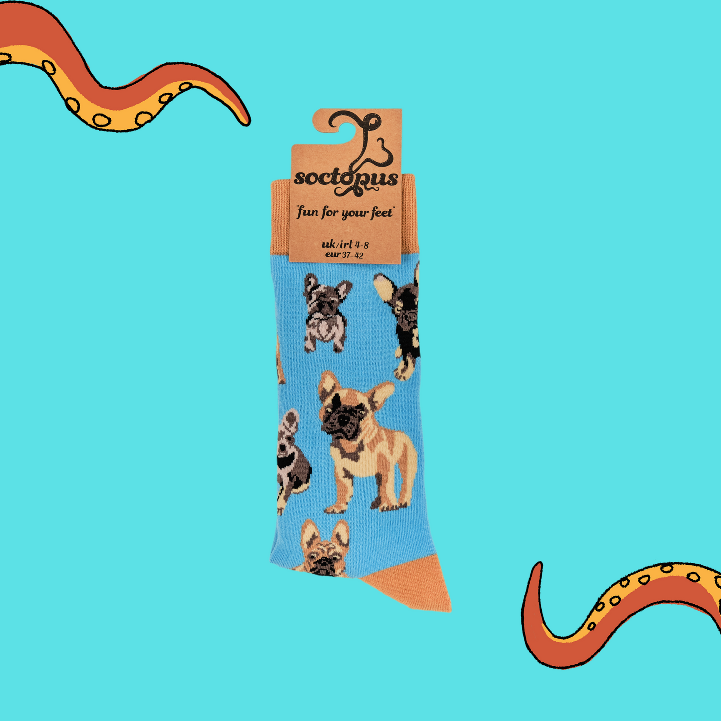 A pair of socks depicting french bulldogs. Blue legs, brown cuff, heel and toe. In Soctopus Packaging.