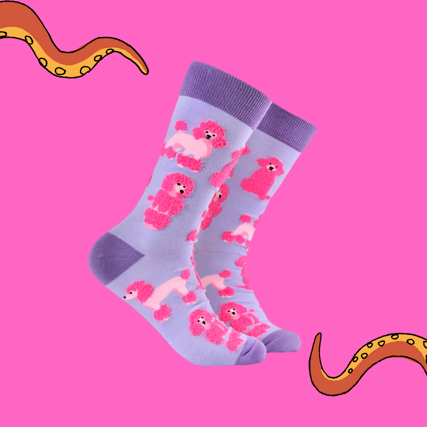 A pair of socks featuring fluffy poodles. Light purple legs, dark purple heel, toe and cuff.