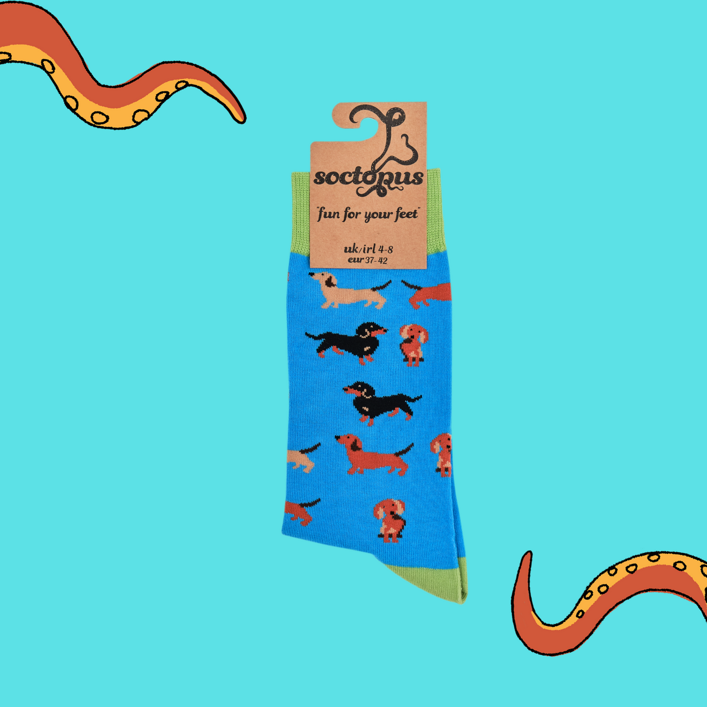 A pair of socks depicting sausage dogs. Blue legs, green cuff, heel and toe. In Soctopus Packaging.