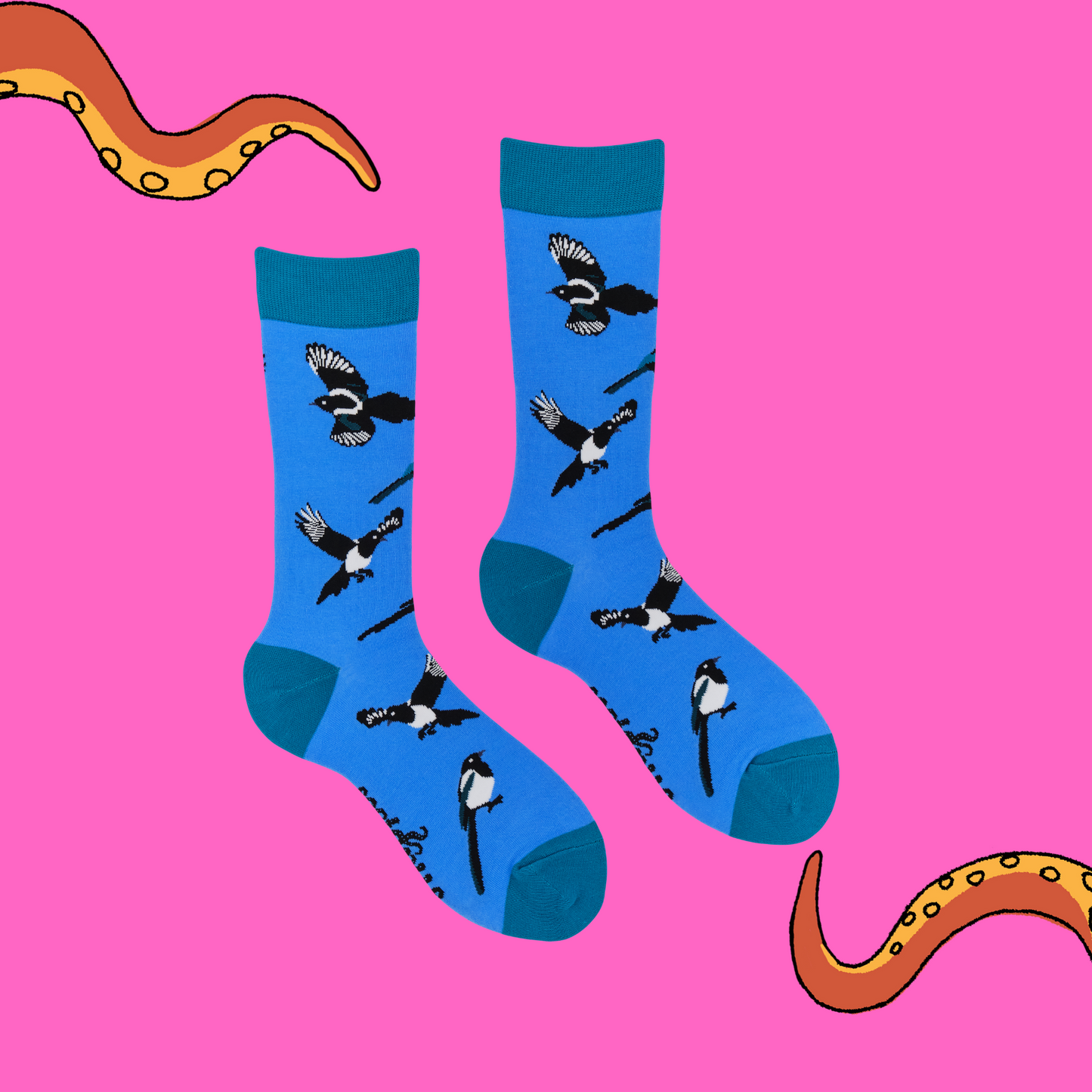 A pair of socks with a magpie motif. Blue legs, green heel, toe and cuff.