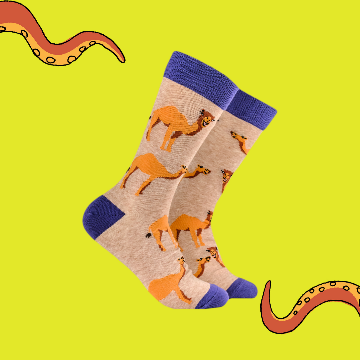 A pair of socks depicting camels, beige legs, blue heel, toe and cuff.