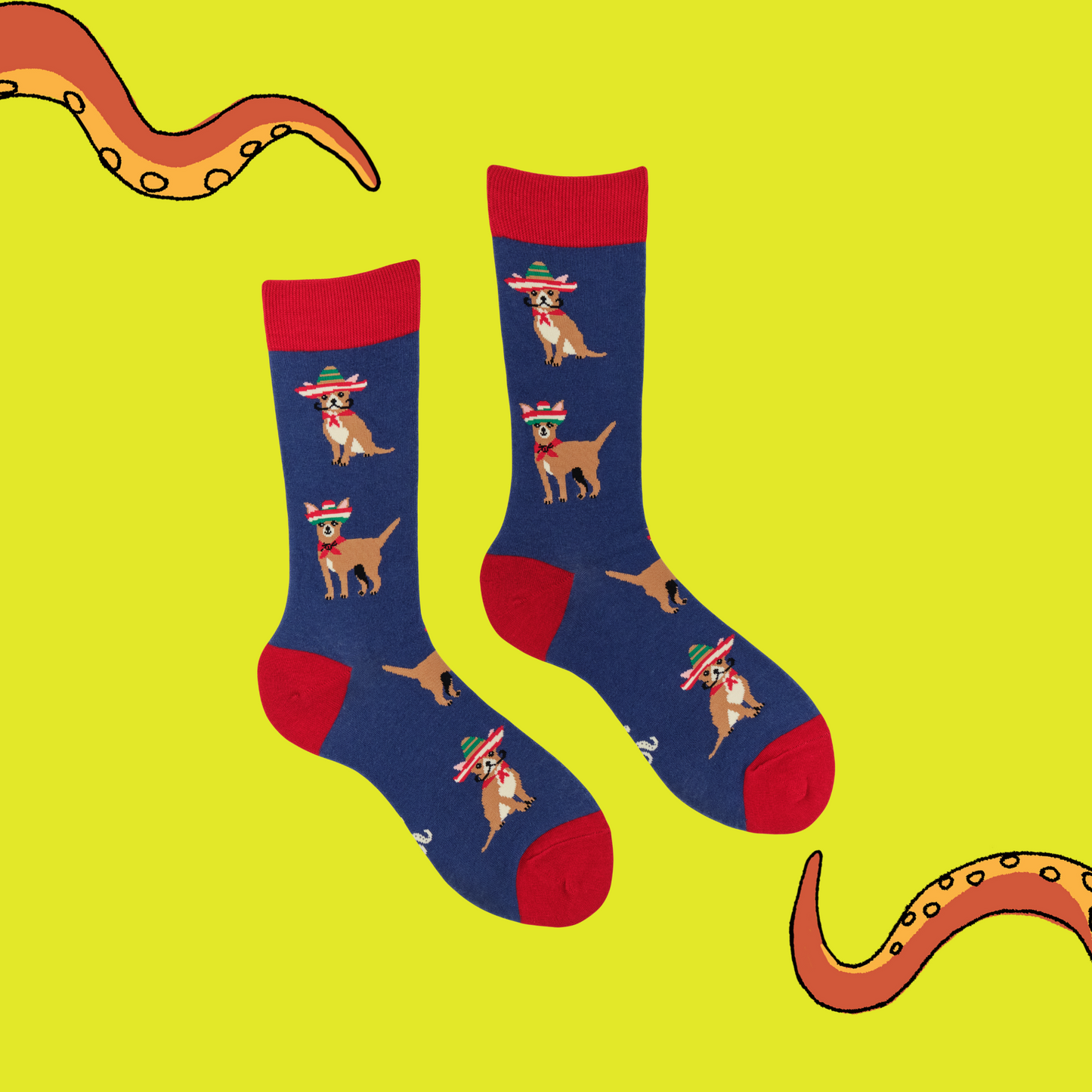 A pair of socks featuring cute chihuahuas. Dark blue legs, red heel, toe and cuff.