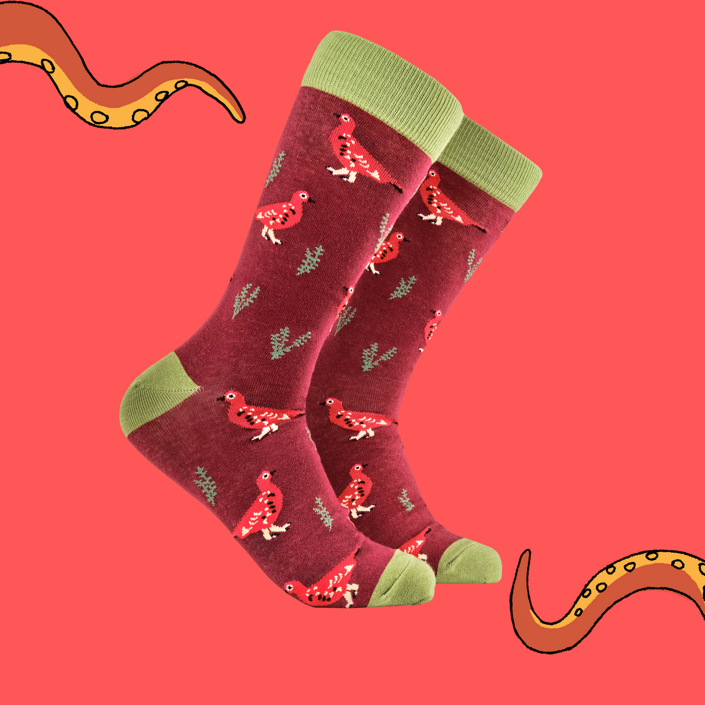 A pair of socks featuring a grouse motif. Red legs, green heel, toe and cuff.
