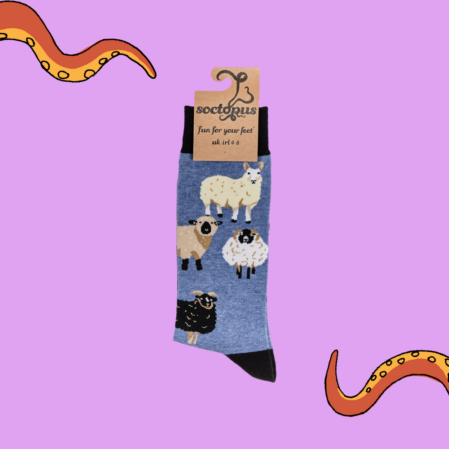 A pair of socks depicting different breeds of British sheep. Blue legs, black cuff, heel and toe. In Soctopus Packaging.