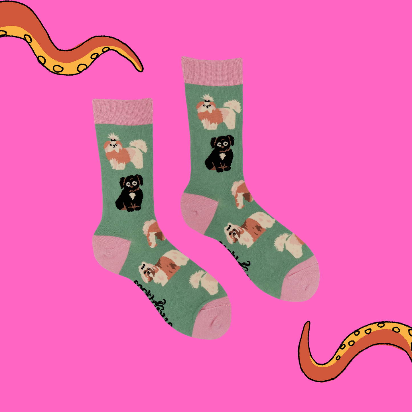 A pair of socks featuring a Shih Tzu  motif. Green legs, pink heel, toe and cuff.