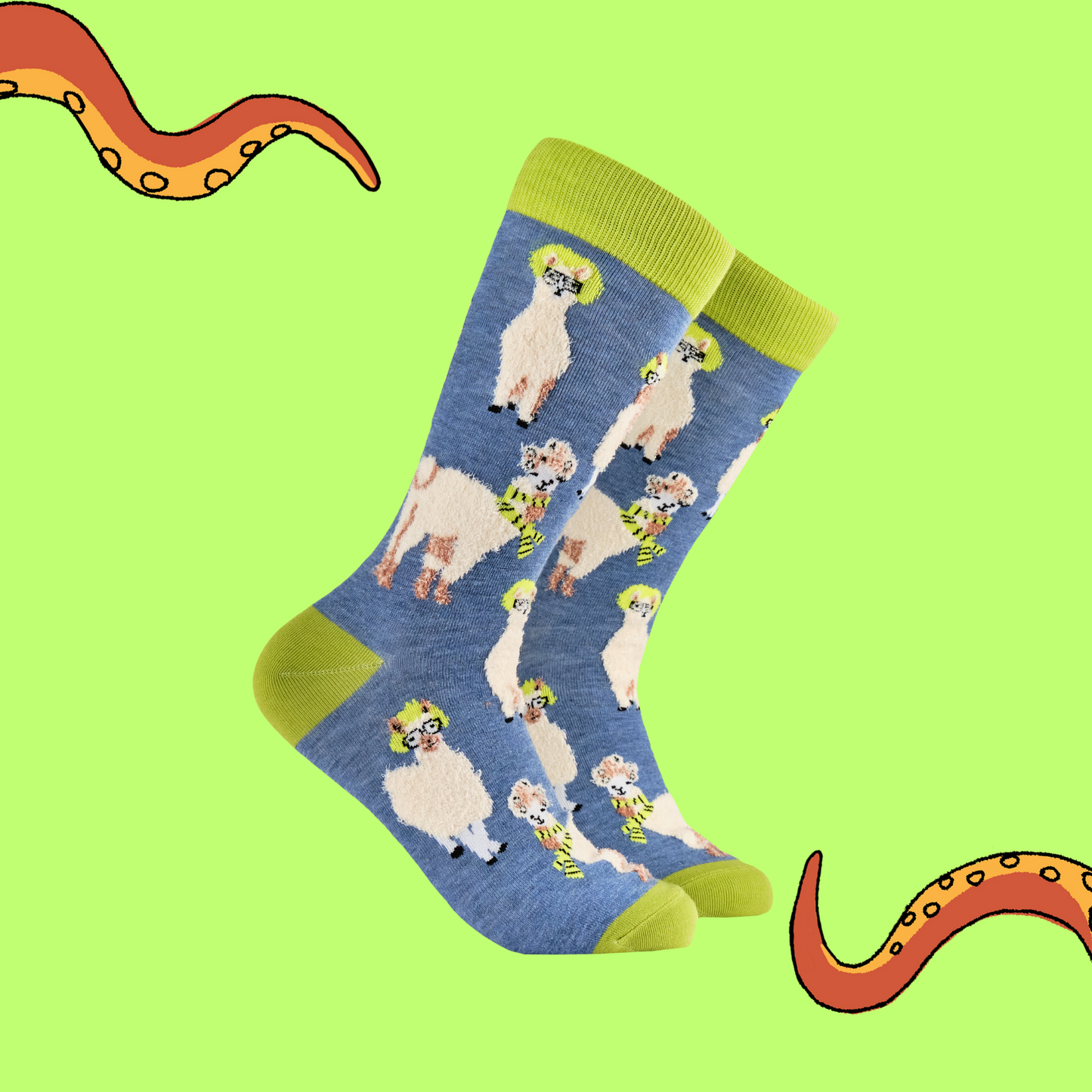 A pair of socks depicting Llamas causing drama. Blue legs, yellow heel, cuff and toe.