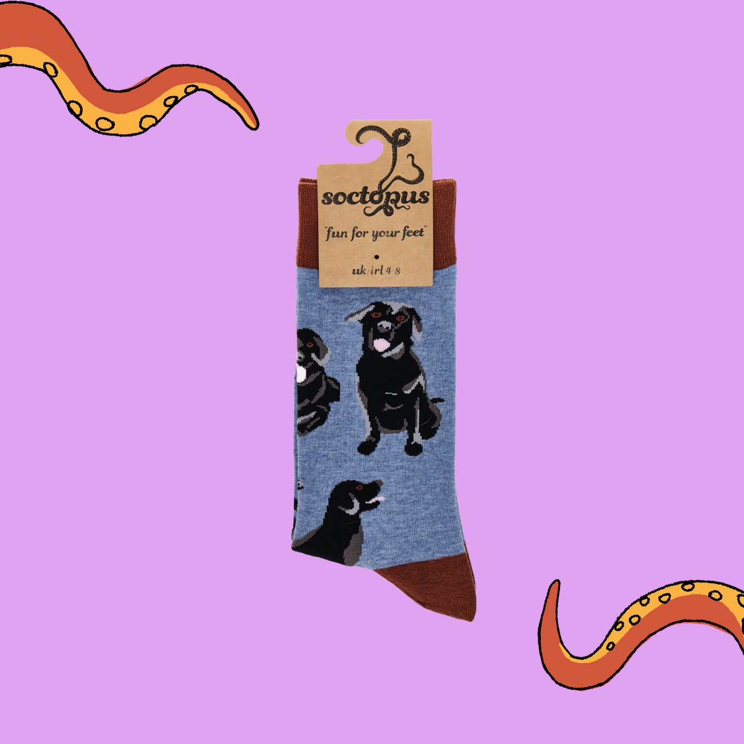 A pair of socks depicting black labradors. Blue legs, brown cuff, heel and toe. In Soctopus Packaging.