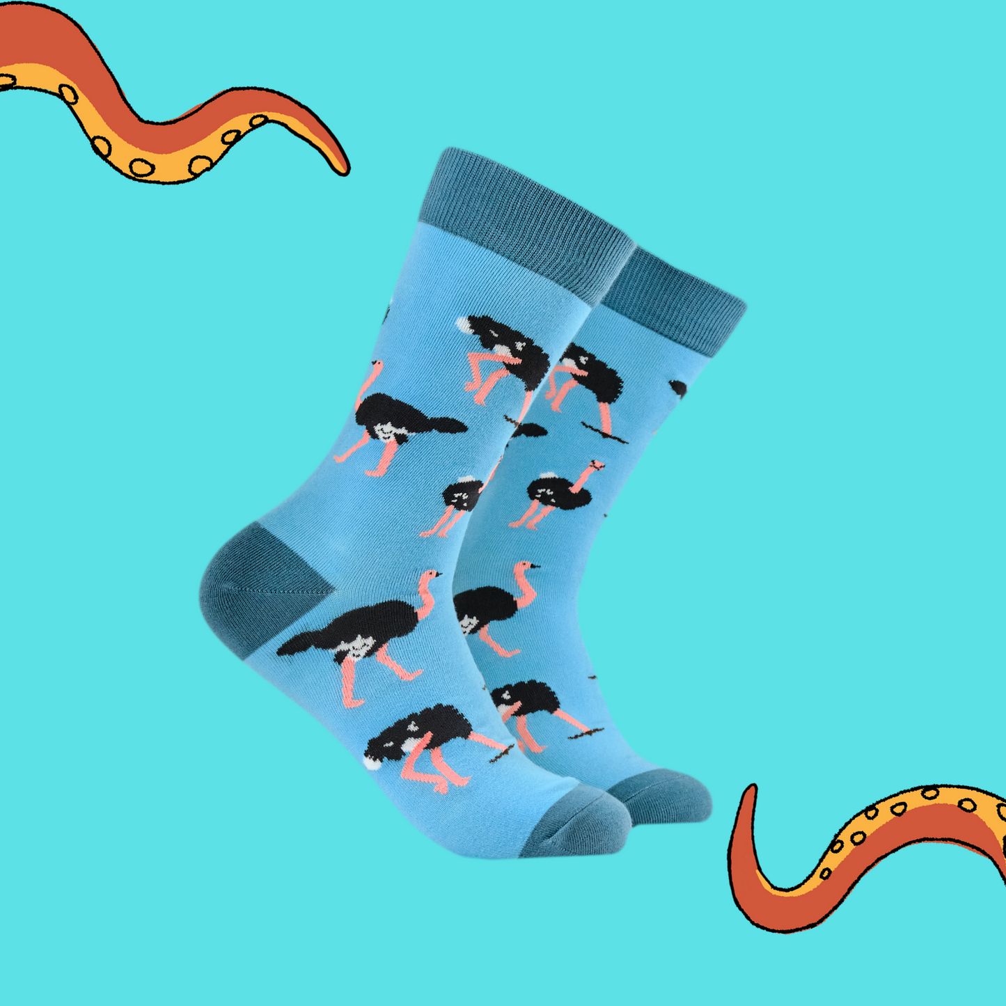 A pair of socks depicting Ostriches. Bright blue legs, teal heel, toe and cuff.
