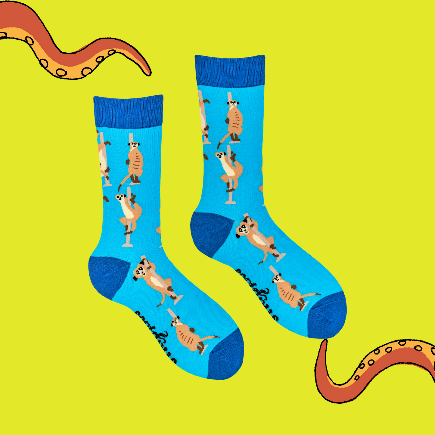 A pair of socks featuring pole dancing meerkats. Light blue legs, dark blue heel, toe and cuff.