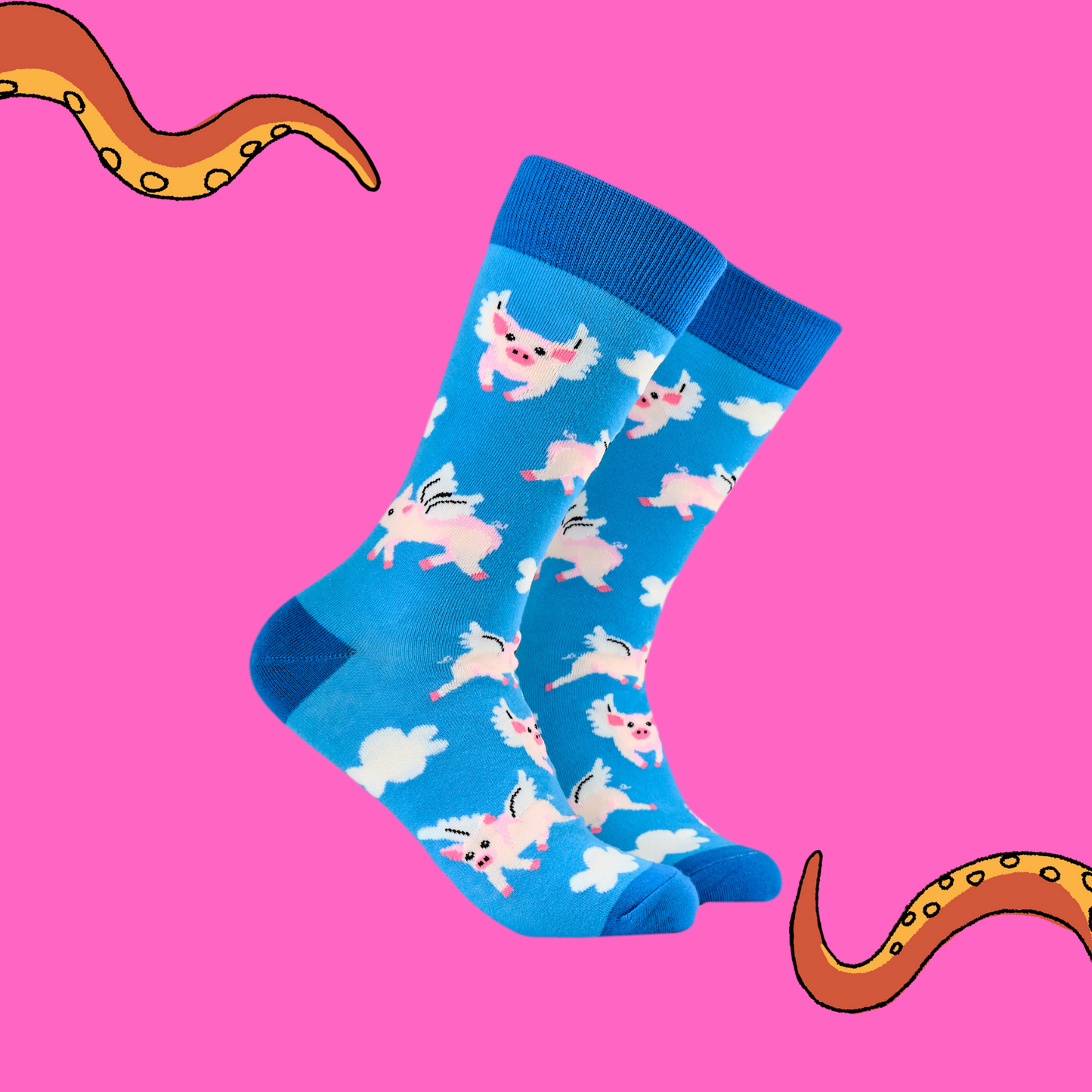 A pair of socks with a flying pig motif. Light blue legs, dark blue heel, toe and cuff.