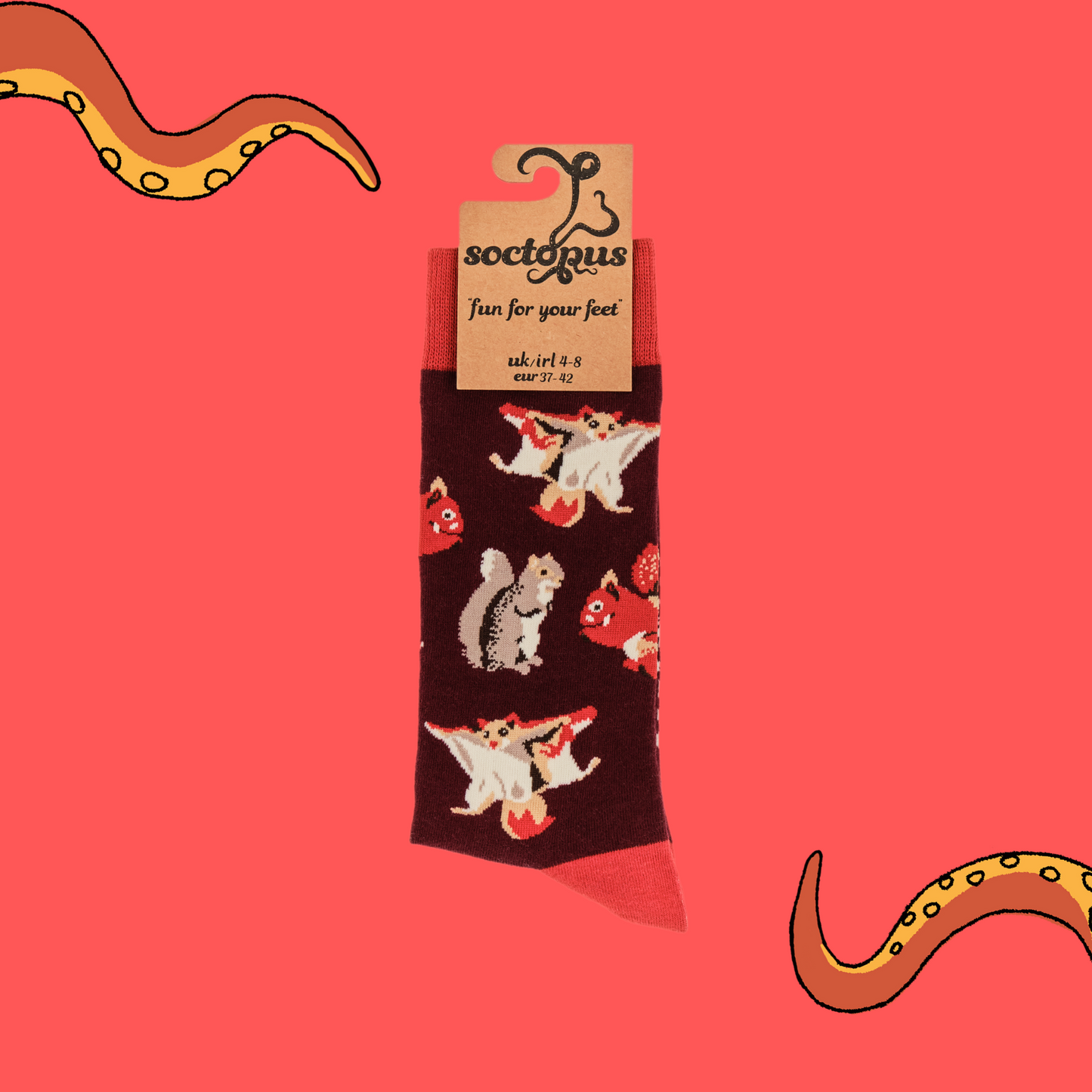 A pair of socks depicting different kinds of squirrel. Dark red legs, red cuff, heel and toe. In Soctopus Packaging.