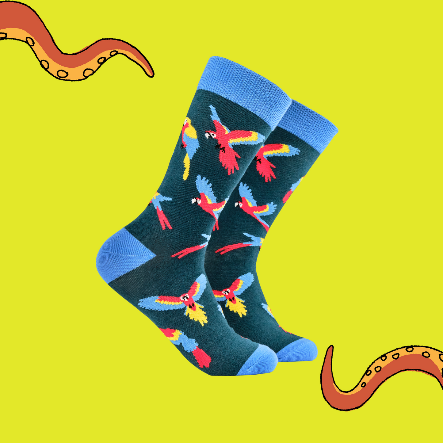 A pair of socks with a parrot motif. Dark blue legs. Bright blue heel, toe and cuff.