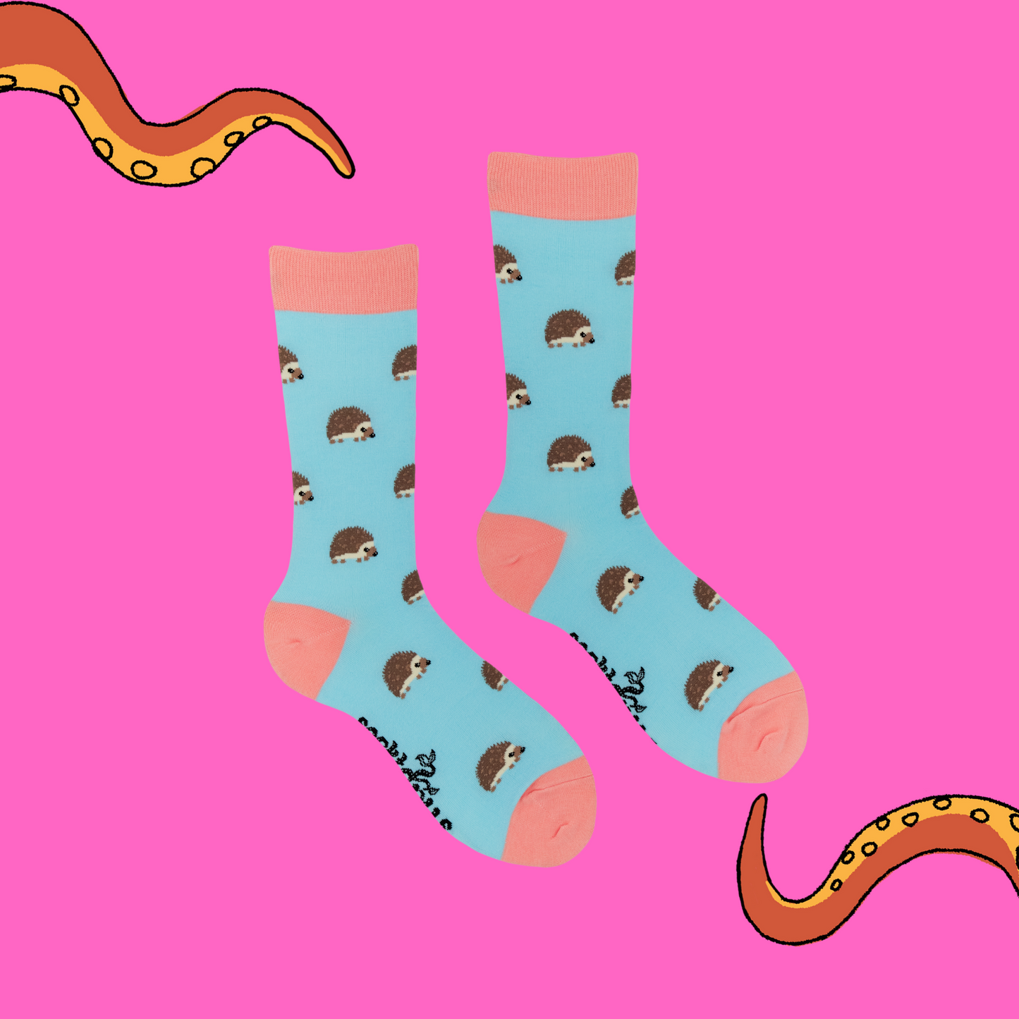 A pair of socks featuring cute hedgehogs. Bright blue legs, pink heel, toe and cuff.